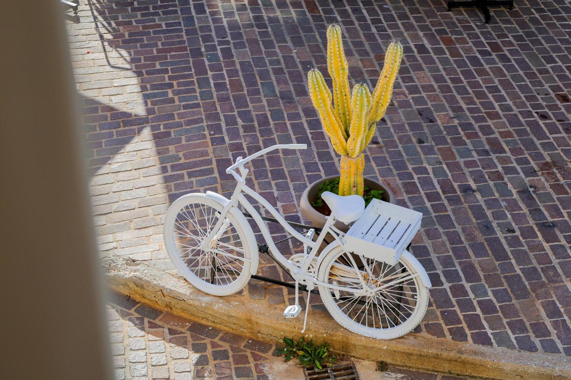 The Botanist Rooms Chania  Bagian luar foto